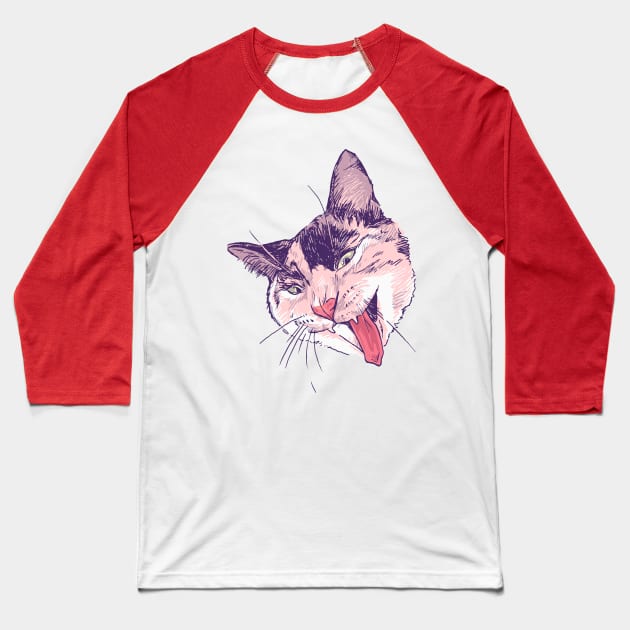 Wassup Calico Kitty! Baseball T-Shirt by bwvernon